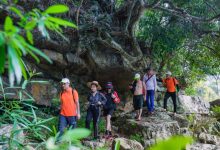 Trekking Phong Nha