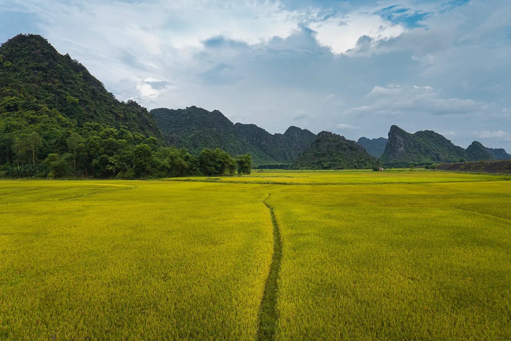 Night sky over Phong Nha